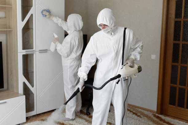 24/7 Emergency Odor Removal experts in Delaware, AR
